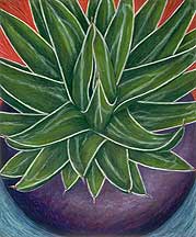 Colorful contemporary still lifes.