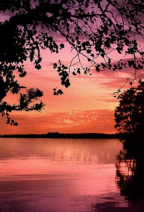 ecard photography sunset nature