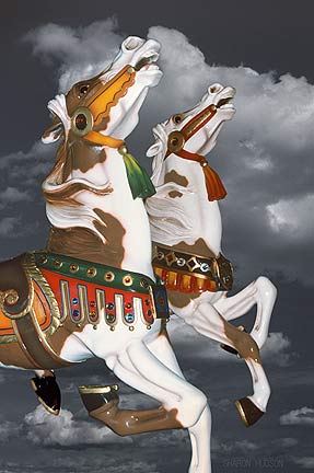 ecards photography carousel horses