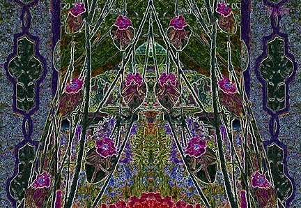 ecards photography abstract floral