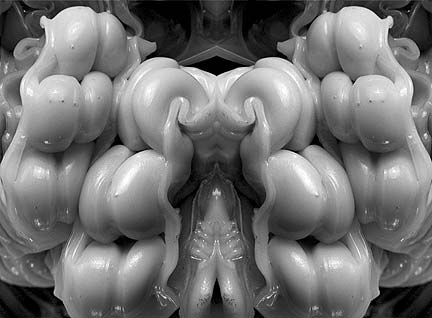 Surreal black and white photography. Surreal photography, organic forms.