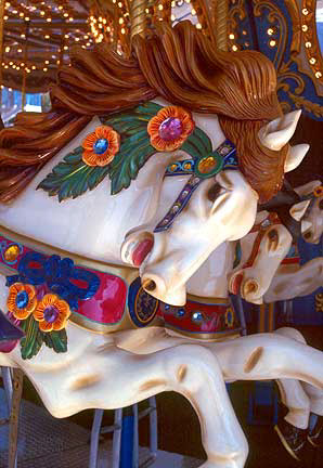 Carousel horse photography.